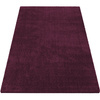 Dywan Kayoom Soft - typu Shaggy nowoczesny, mięciutki -  aubergine